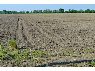Property photo 45 - LAND AUCTION - 215+/- ACRES OFFERED IN 6 TRACTS IN VAN WERT COUNTY, OHIO
